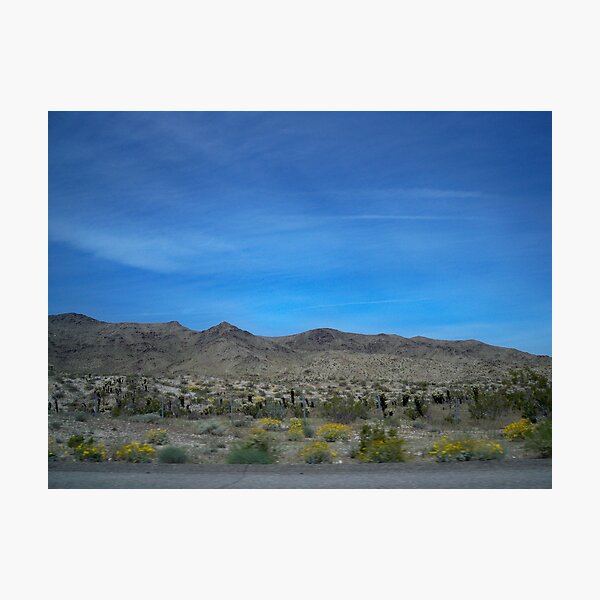 Item preview, Desert in Bloom  designed and sold by Diane Trummer Sullivan.
