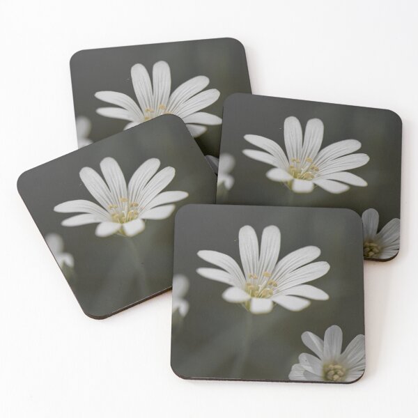 Item preview, Late spring flowers designed and sold by The Wolfness Photography.