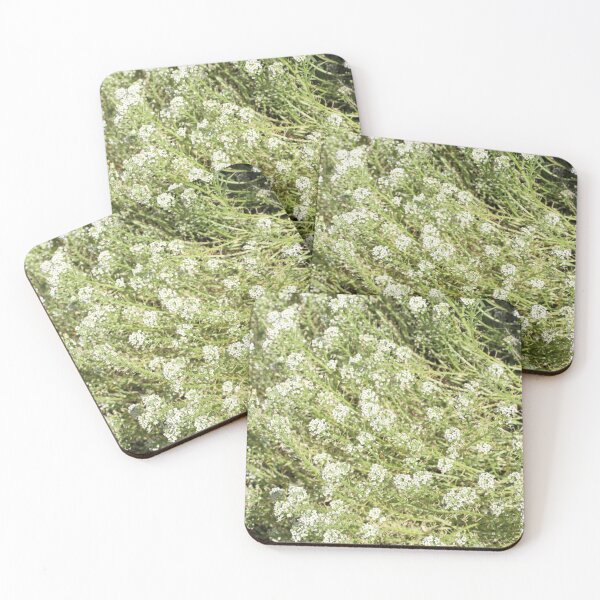 Item preview, Sweet Alyssum designed and sold by PresMatPlays.