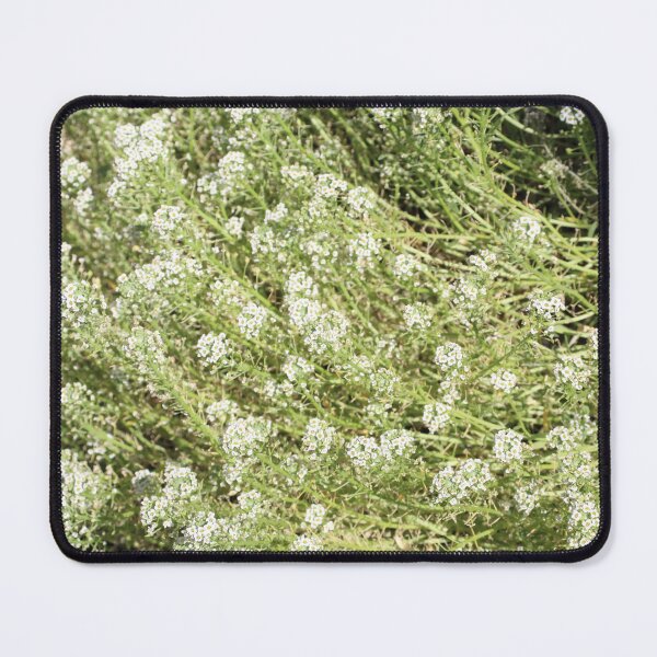 Item preview, Sweet Alyssum designed and sold by PresMatPlays.
