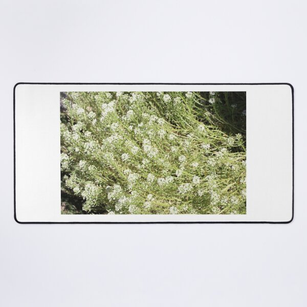 Item preview, Sweet Alyssum designed and sold by PresMatPlays.