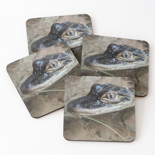 Item preview, Alligator  designed and sold by Michpictures001.