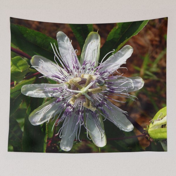 Item preview, Fading Passionflower designed and sold by gistinker.