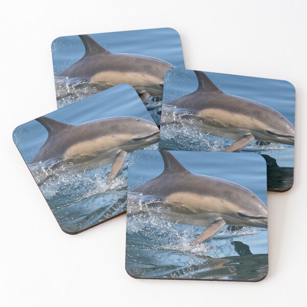 Item preview, Common Dolphin.Trshnish Isles,Inner Hebrides designed and sold by Derren Jones.
