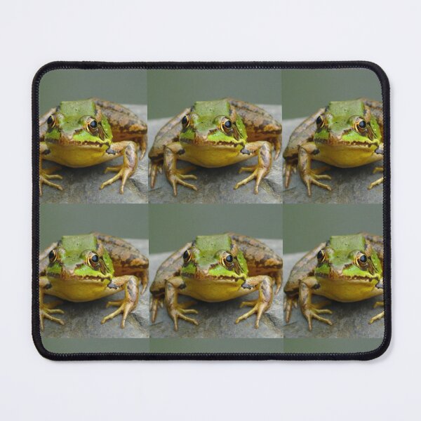 Item preview, Toby (Ready to Strike) designed and sold by MIIKE DESIGN.
