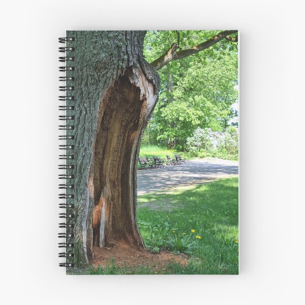 Item preview, Oak cavity  designed and sold by bluerosesart37.