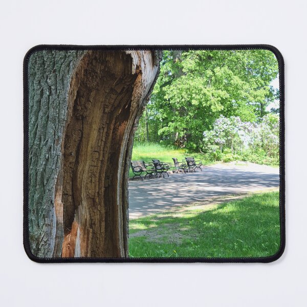 Item preview, Oak cavity  designed and sold by bluerosesart37.