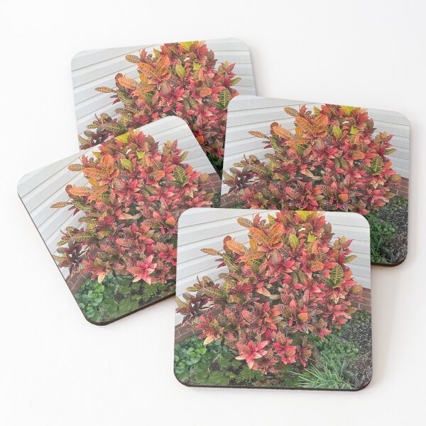 Item preview, Lovely Leaved Plant designed and sold by KazM.
