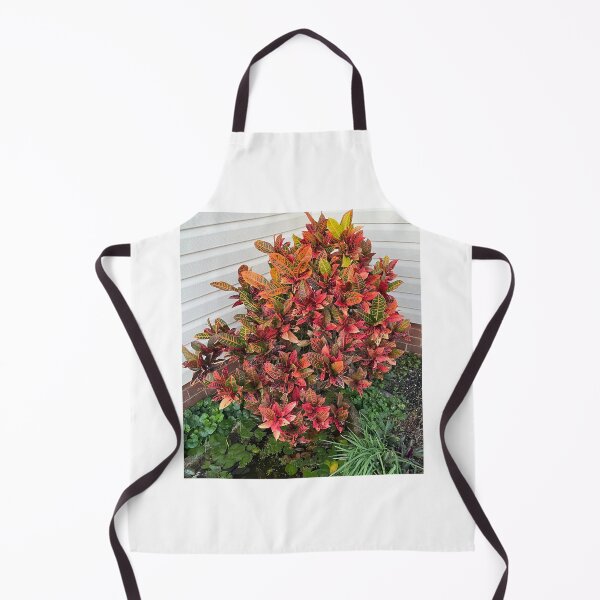 Item preview, Lovely Leaved Plant designed and sold by KazM.