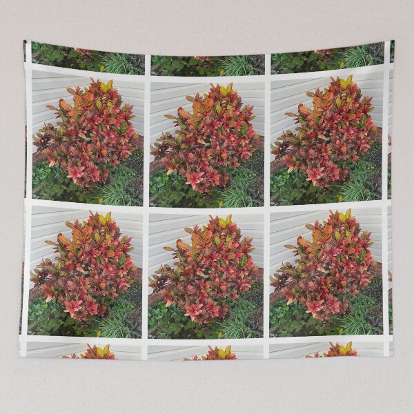 Item preview, Lovely Leaved Plant designed and sold by KazM.