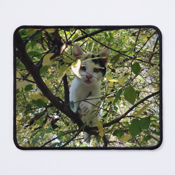Item preview, Cat Susi in the tree designed and sold by Gourmetkater.