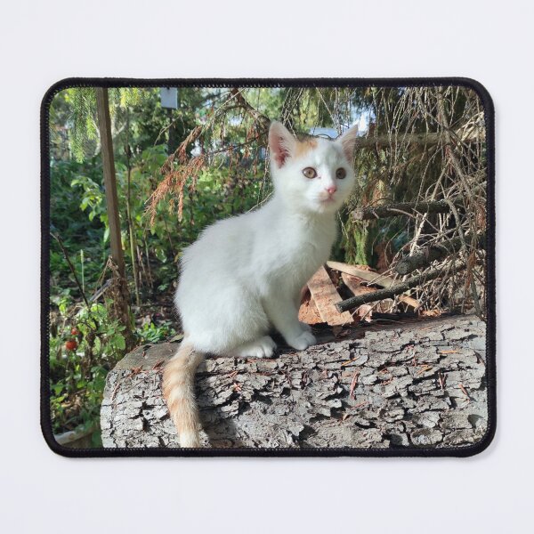 Item preview, Tomcat Jonni on Stamm designed and sold by Gourmetkater.