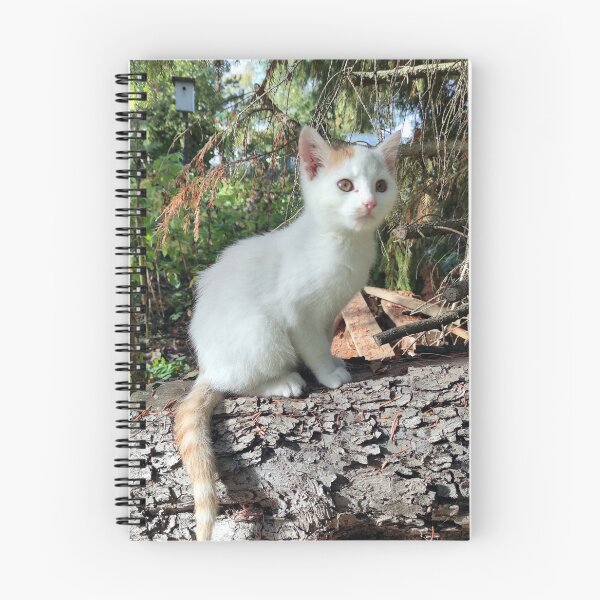 Artikelvorschau, Kater Jonni auf Stamm entworfen und verkauft von Gourmetkater.