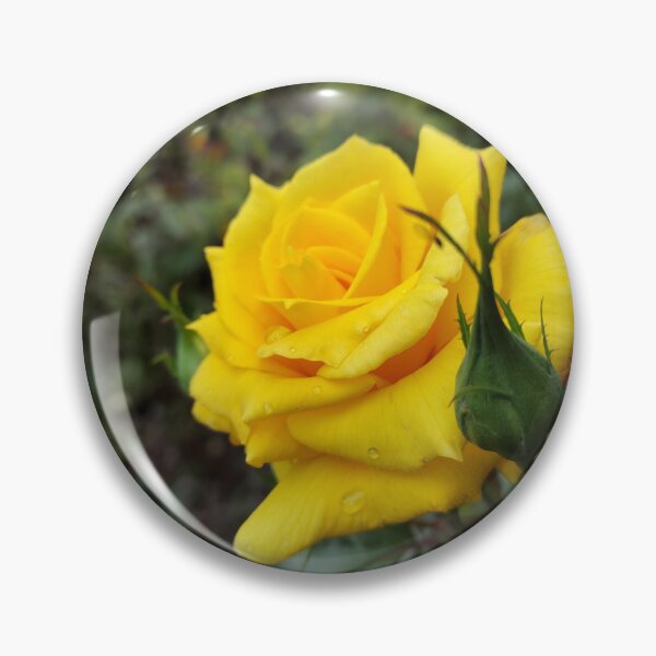 Item preview, Yellow rose blossom designed and sold by Gourmetkater.