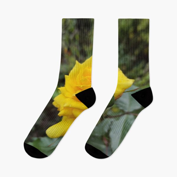 Item preview, Yellow rose blossom designed and sold by Gourmetkater.
