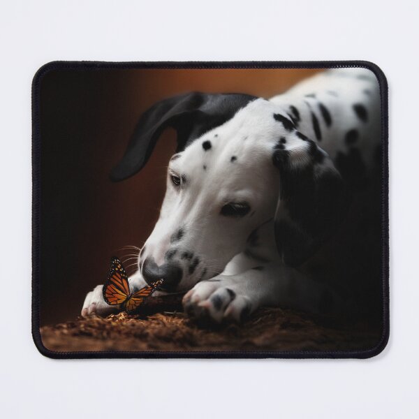 Item preview, Dalmatian, puppy, beautiful scenery, playing with a butterfly, artistic dog photography - Photography and Edition designed and sold by MrGreenDragon.