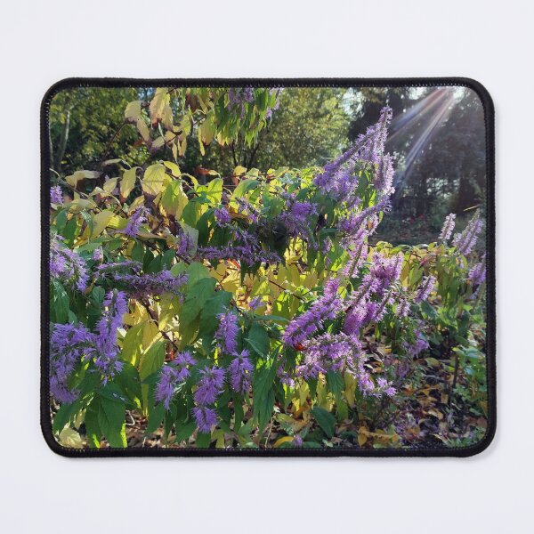 Item preview, Garden in the sunbeam designed and sold by Gourmetkater.