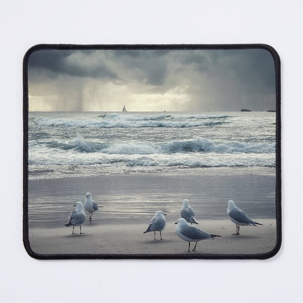 Item preview, Seagulls at Fingal designed and sold by goodieg.