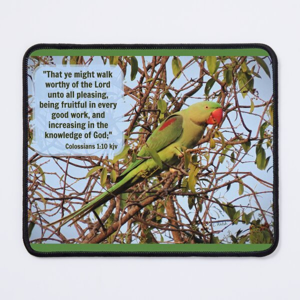 Item preview, Bible Verse Colossians 1:10 with Alexandrine Parakeet designed and sold by Linda Walsh.