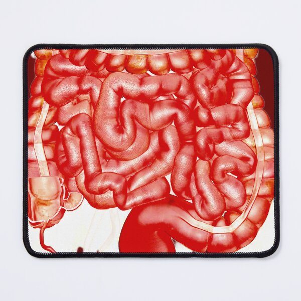 Item preview, Intestines  designed and sold by ontological.