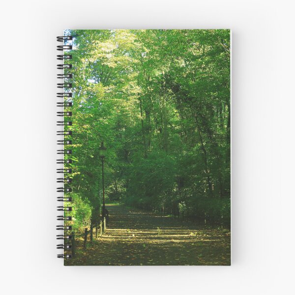 Artikelvorschau, Ein ruhiger Wanderweg im Spreewald entworfen und verkauft von KaSaPo.