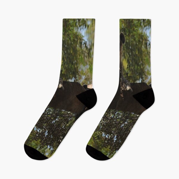 Item preview, Spotted Hyena Nature Lovers Valencia Vertical designed and sold by eddiebarronshop.