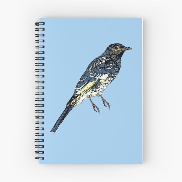 Item preview, Regent Honeyeater Color Design  designed and sold by designsasstultd.