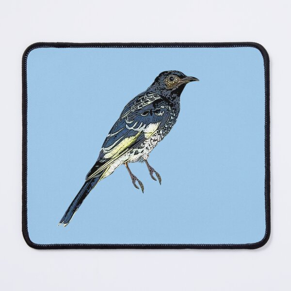 Item preview, Regent Honeyeater Color Design  designed and sold by designsasstultd.