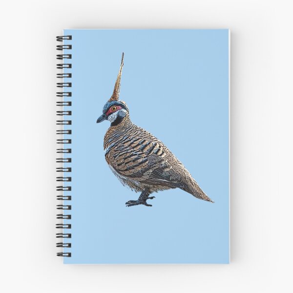 Item preview, Spinifex Pigeon Color Design  designed and sold by designsasstultd.