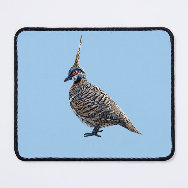 Item preview, Spinifex Pigeon Color Design  designed and sold by designsasstultd.