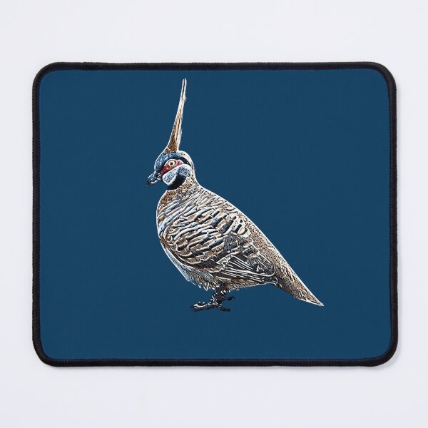 Item preview, Spinifex Pigeon White Alternate Design  designed and sold by designsasstultd.