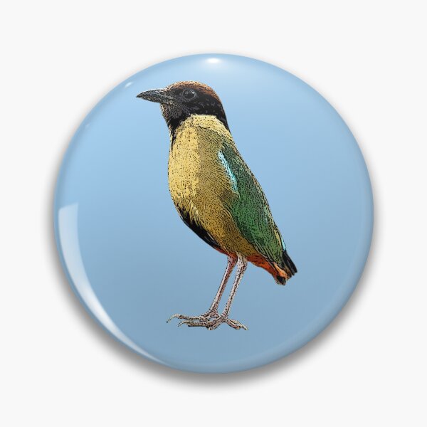 Item preview, Noisy Pitta Color Design  designed and sold by designsasstultd.