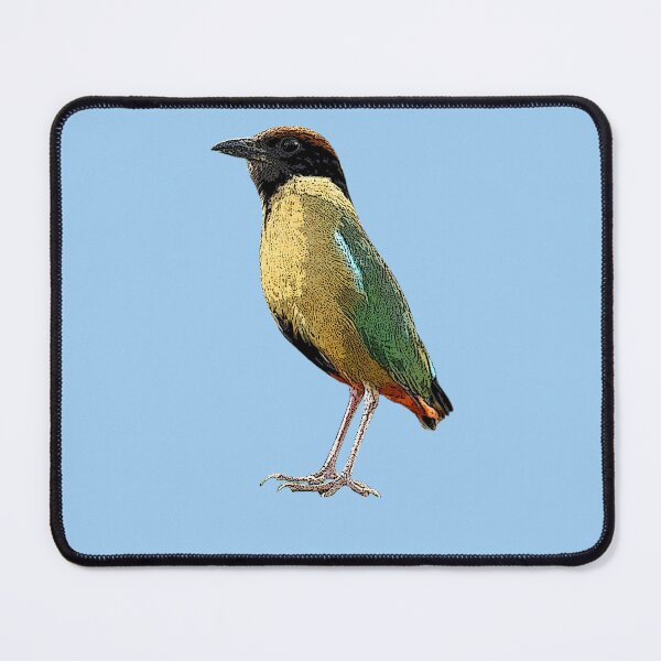Item preview, Noisy Pitta Color Design  designed and sold by designsasstultd.