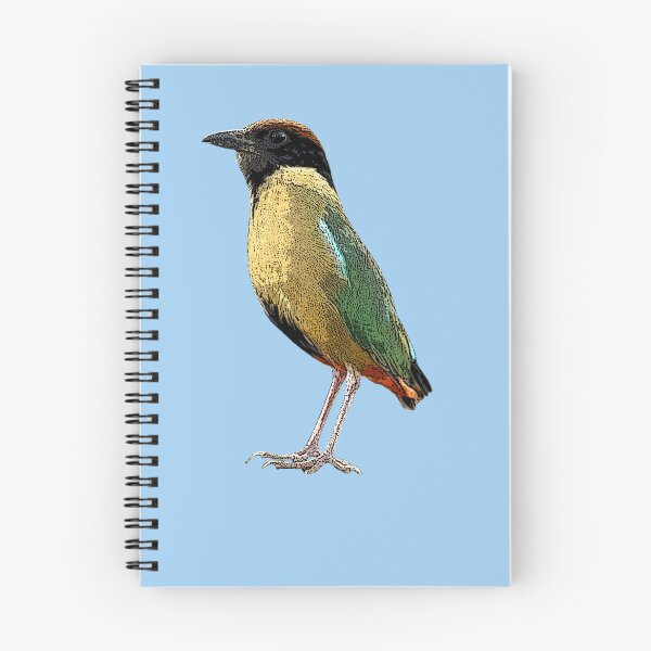 Item preview, Noisy Pitta Color Design  designed and sold by designsasstultd.