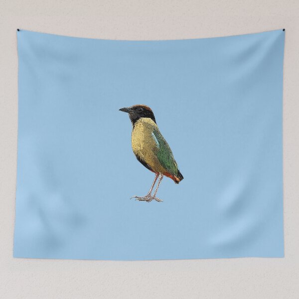 Item preview, Noisy Pitta Color Design  designed and sold by designsasstultd.