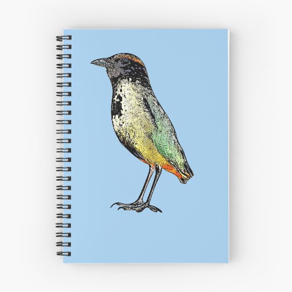 Item preview, Noisy Pitta Black Alternate Design  designed and sold by designsasstultd.