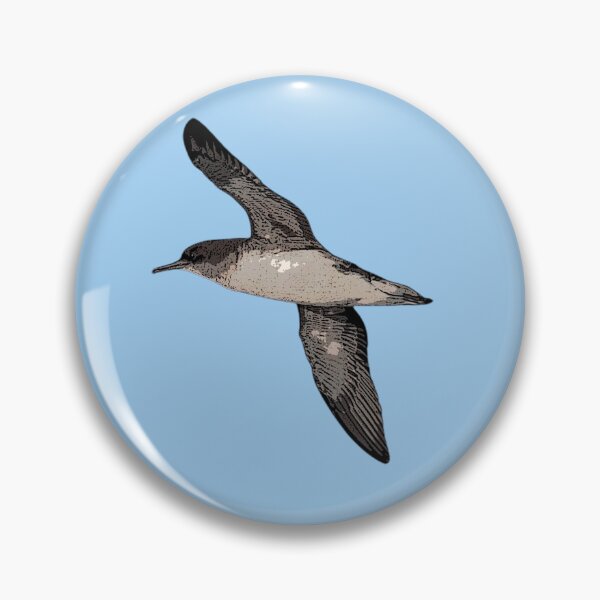 Artikelvorschau, Hutton's Shearwater Farbdesign entworfen und verkauft von designsasstultd.