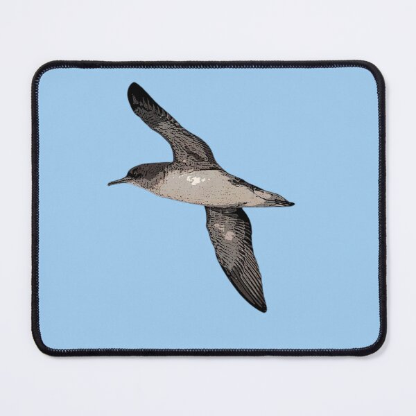 Item preview, Hutton's Shearwater Color Design designed and sold by designsasstultd.