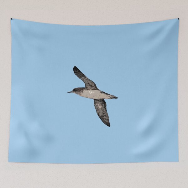 Item preview, Hutton's Shearwater Color Design  designed and sold by designsasstultd.