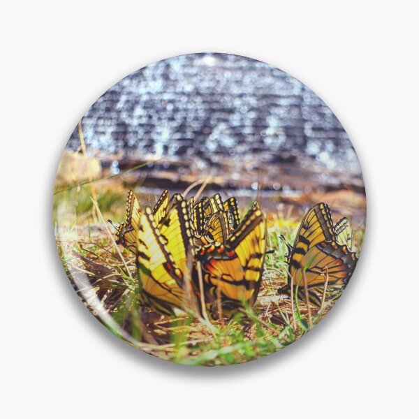 Item preview, Swallowtail Butterflies At The Bottom Of King's Mountain Spillway South Carolina designed and sold by LisaWootenPhoto.