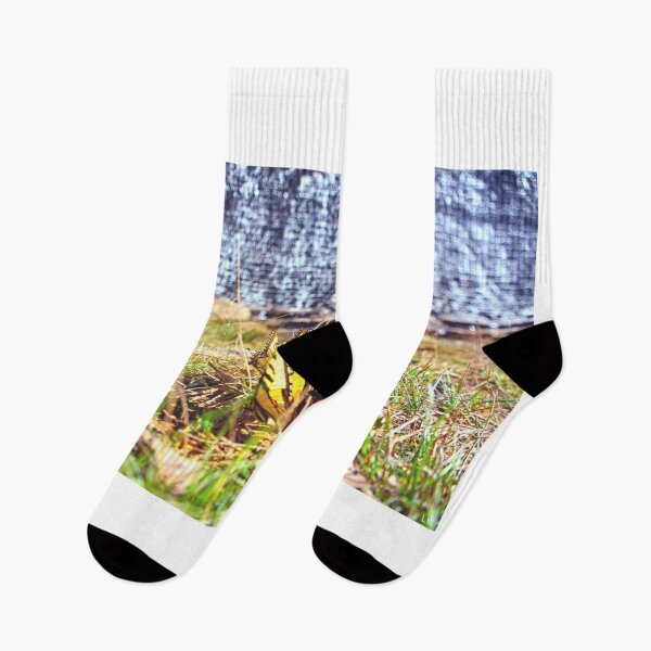 Item preview, Swallowtail Butterflies At The Bottom Of King's Mountain Spillway South Carolina designed and sold by LisaWootenPhoto.