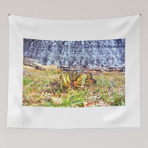 Item preview, Swallowtail Butterflies At The Bottom Of King's Mountain Spillway South Carolina designed and sold by LisaWootenPhoto.