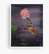 Humming Bird in Flight Canvas Print