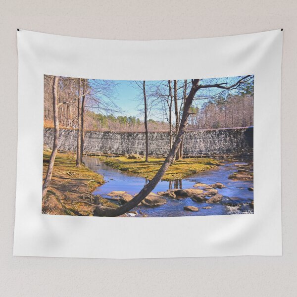 Item preview, King's Mountain State Park Blacksburg South Carolina designed and sold by LisaWootenPhoto.