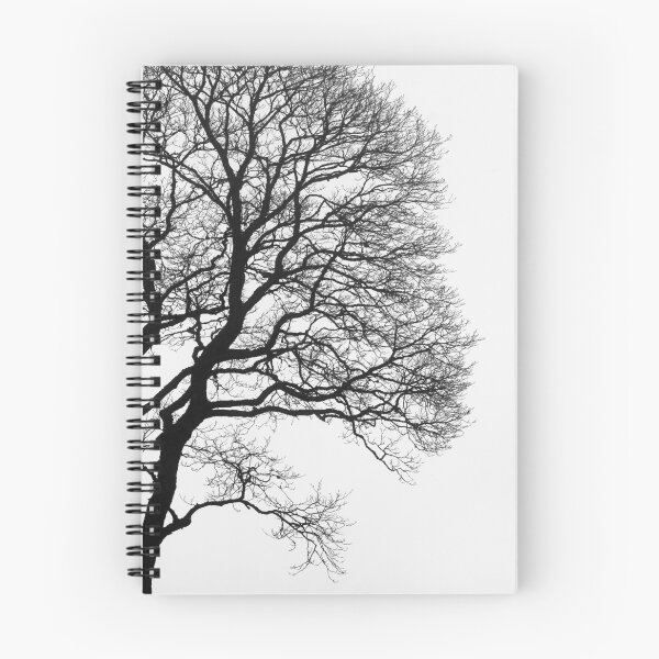 Item preview, 26.4.2018: Lonely tree III designed and sold by Petri Volanen.