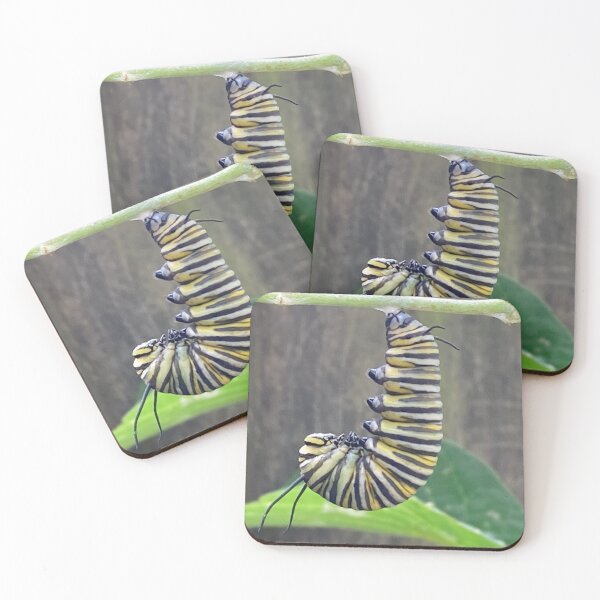 Item preview, Monarch Caterpillar designed and sold by BearFootStudios.
