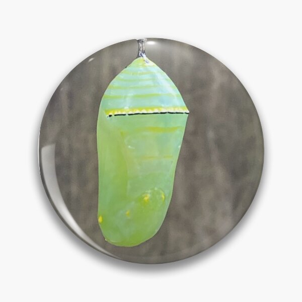 Item preview, Monarch Butterfly Chrysalis designed and sold by BearFootStudios.