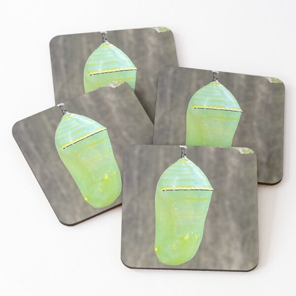 Item preview, Monarch Butterfly Chrysalis designed and sold by BearFootStudios.