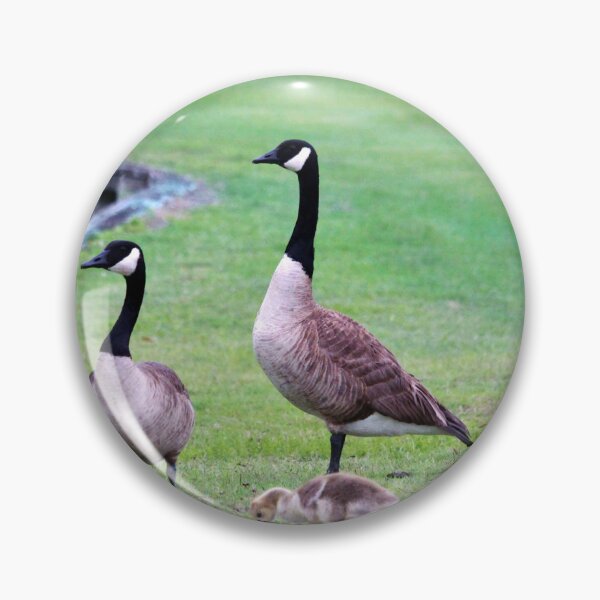 Aperçu de l'œuvre Famille d'oiseaux créée et vendue par Cynthia48.