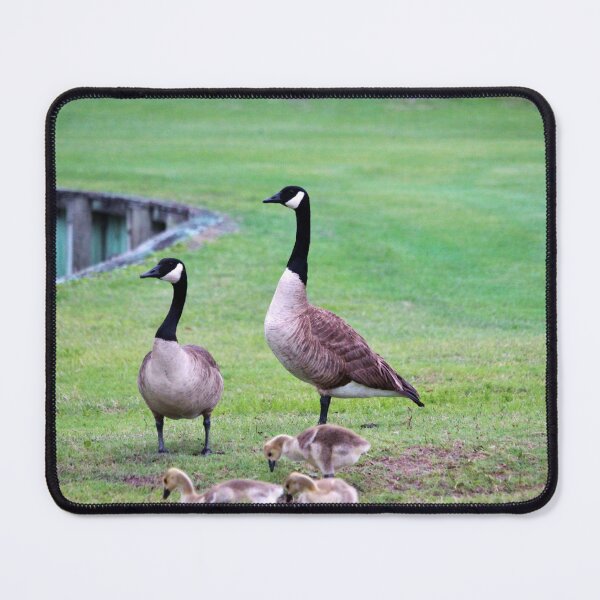 Item preview, Bird Family designed and sold by Cynthia48.